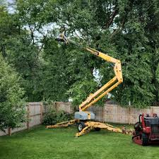 Best Commercial Tree Services  in Franklin Park, IL